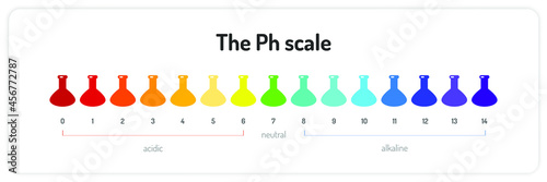 The ph scale infographic. Isolated vector illustration on white background.