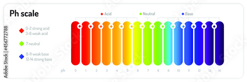 The ph scale infographic. Isolated vector illustration on white background.