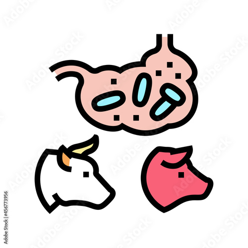 coli bacillus domestic animal color icon vector. coli bacillus domestic animal sign. isolated symbol illustration