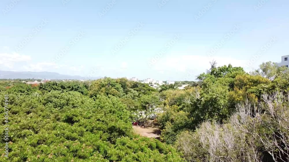 drone flight over the forest showing in the background the city of santiago de los caballeros, tropical weather without clouds drone flight over the forest showing in the background the city of santiago de los caballeros, tropical weather without clouds