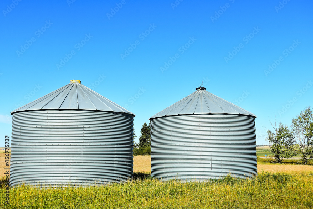 An image of metal grain silos in a agricultural field during harvest season. An image of metal grain silos in a agricultural field during harvest season.