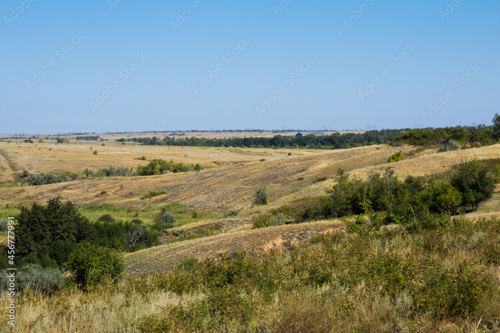 The steppe is woodless. Ravine in the steppe. Forest of the steppe landscape. Forest formation. Poor in moisture. Grass vegetation in the dry climate zone.
