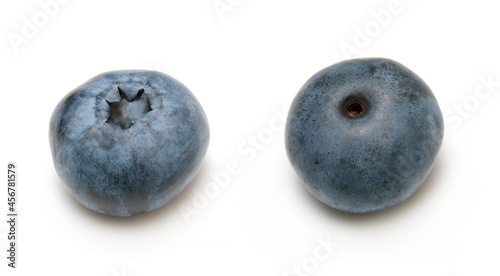 fresh blueberry berry