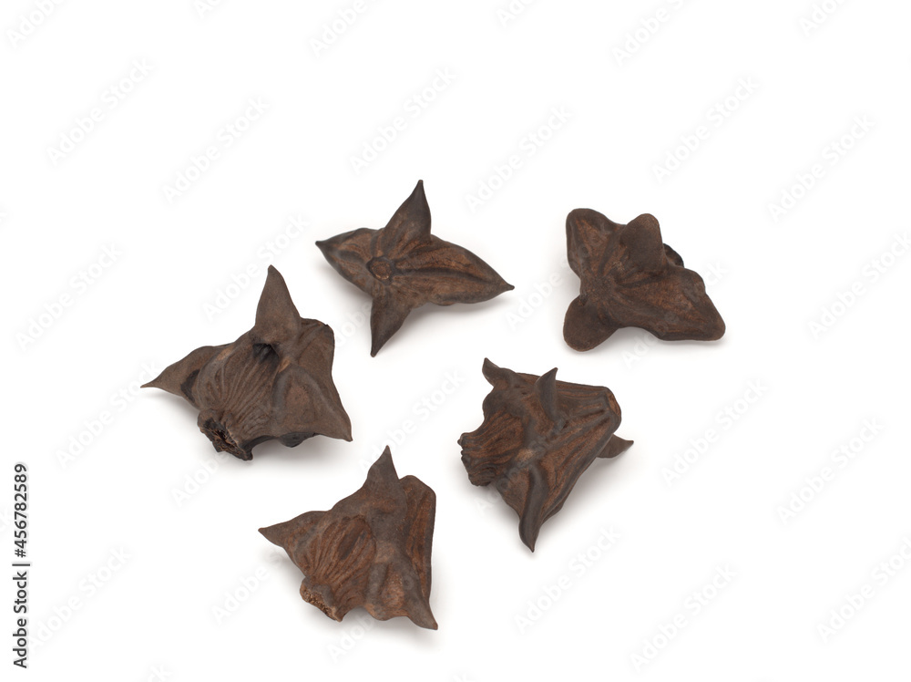 Fototapeta premium Seeds of annual aquatic plant on white background