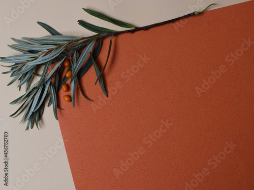 Bright autumn, background with autumn colors. Herbarium. autumn orange color palette items on orange background autumn tones