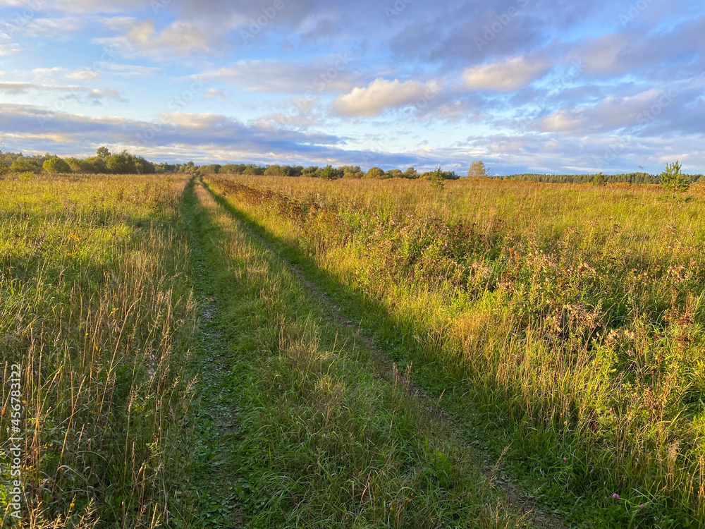 Obraz premium Evening landscape with a grassy meadow, a forest on the horizon and a beautiful cloudy sky.