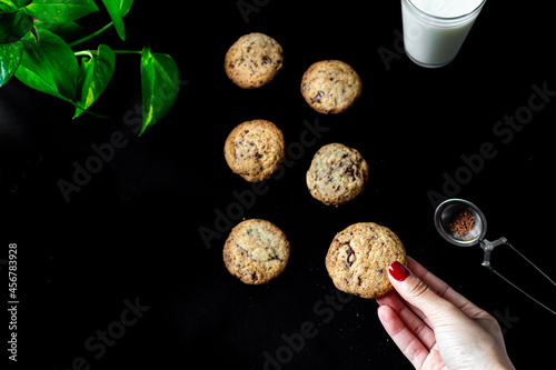 Cookies, boa plant leaves on black background. Close up.  photo