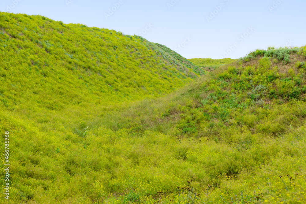 Ravine and hills covered with green grass on a summer day