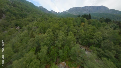 Majestic green vibrant forest with tall mountain range in background, FPV drone fly over view photo