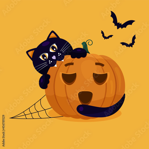 Halloween illustration a dark cat sits on an orange pumpkin with spider webs and bats.Vector illustration photo