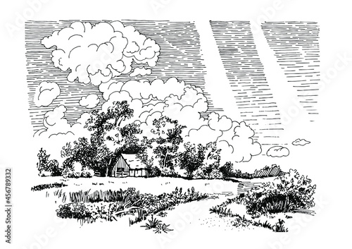 Rural scenery landscape panorama of countryside pastures. Green grass field on small hills. Vector sketch illustration