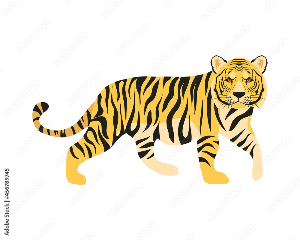 bengal tiger feline - obrazy, fototapety, plakaty 