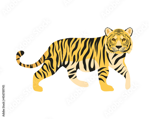 Fototapeta Naklejka Na Ścianę i Meble -  bengal tiger feline