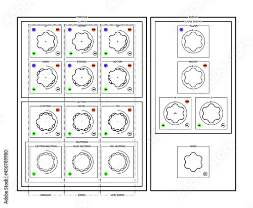 Conceptual vector illustration of the fundamental particles of standard model and some of its proprieties: mass, charge, flavour, spin and interaction forces.  