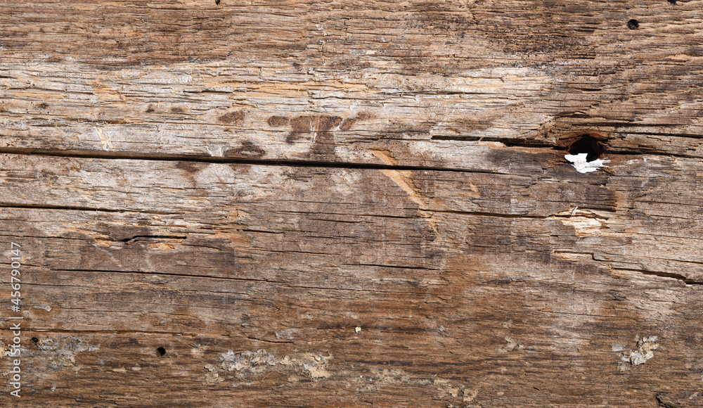 Fototapeta premium Detail of an old wooden board. Texture and pattern from old dark colored planks. 