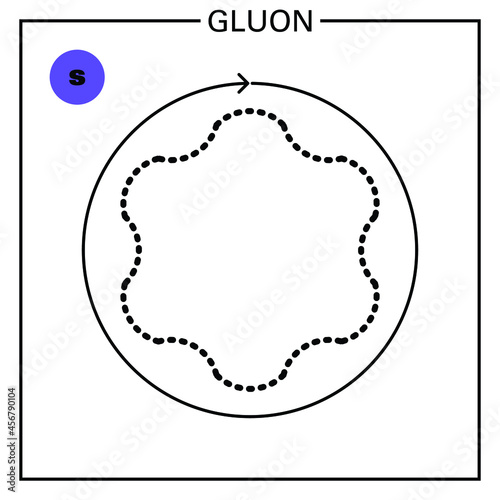 Conceptual vector illustration of a fundamental particle of standard model, the gluon, a gauge boson, and some of its proprieties: mass, charge, flavour, spin and interaction forces. 