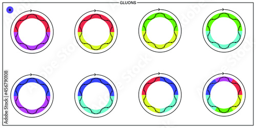 Conceptual vector illustration of a fundamental particle of standard model, the gluon, a gauge boson, and its proprieties: mass, color, charge, flavour, spin and interaction forces. 