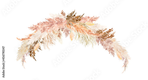 Pampas grass border painted with watercolor. Boho floral neutral colors frame. Botanical boho elements isolated on white. Bohemian style wedding invitation, greeting, card, stickers, scrapbooking