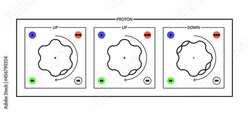Conceptual vector illustration of a fermion hadron baryon, the proton - made up of two quarks up and one quark down - and some of its proprieties: mass, charge, flavour, spin and interaction forces.