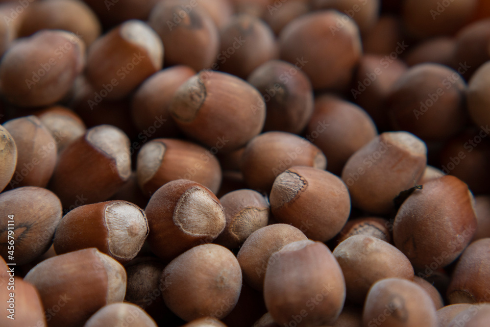 autumn nuts autumn nuts