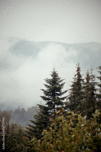 Mountains after the rain. Water evaporates from the forest © Макс Босацький