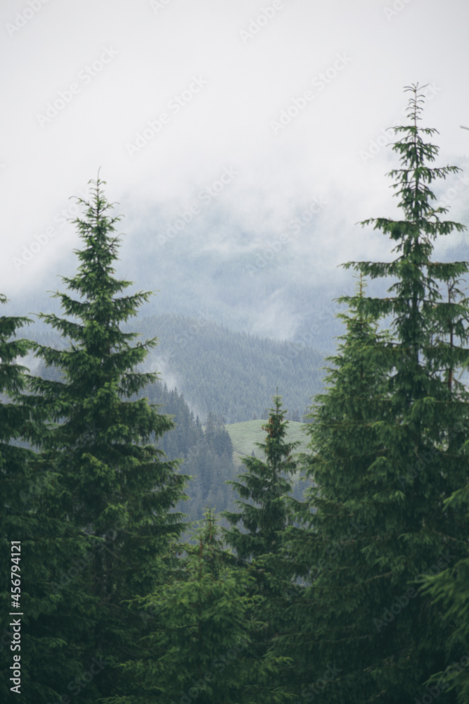 Mountains after the rain. Water evaporates from the forest