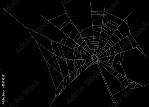 white isolated old spider web illustration