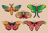 Collection of fantasy colorful butterflies for design. Vector graphics.