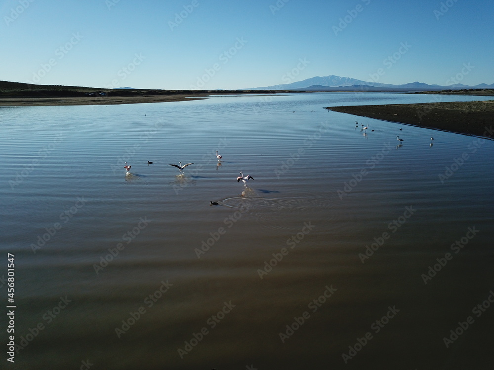 lagoon in a flat desert in western Argentina