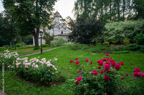 Amazing roses in Church garden (as dostoevsky wrote, nurtured by the skillful hand of a gardener) © Marat Lala