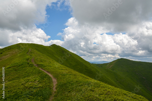 Beautiful summer landscape with grassy slopes and the mountain ridge with high peaks, blue sky with clouds in the background. beautiful nature of Carpathian Mountains, Ukraine