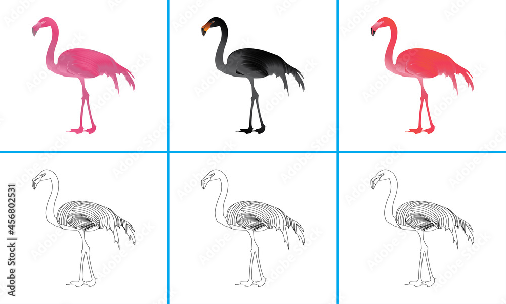Obraz premium Pink,Black and Red Flamingo Bird Coloring Pages Design