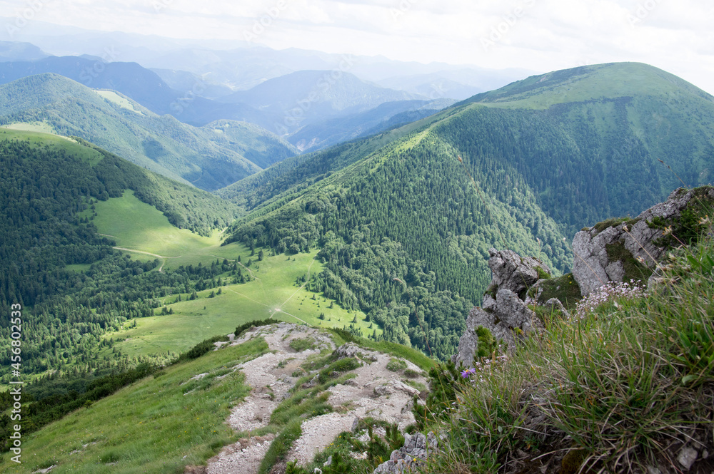 Naklejka premium Ridgeway and amazing green wide views in Mala Fatra mountains in Slovakia, summer season sceneries and beautiful rocks 