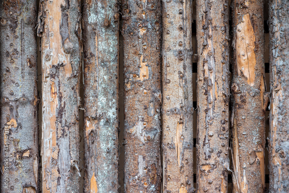 old wood texture, the texture of the wooden wall, texture of log wall, old wood texture, the texture of the wooden wall, texture of log wall,