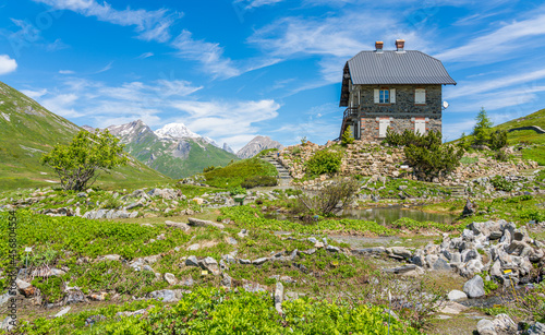 Botanic garden at the Little Saint Bernard Pass on a summer afternoon, between Italy and France. photo