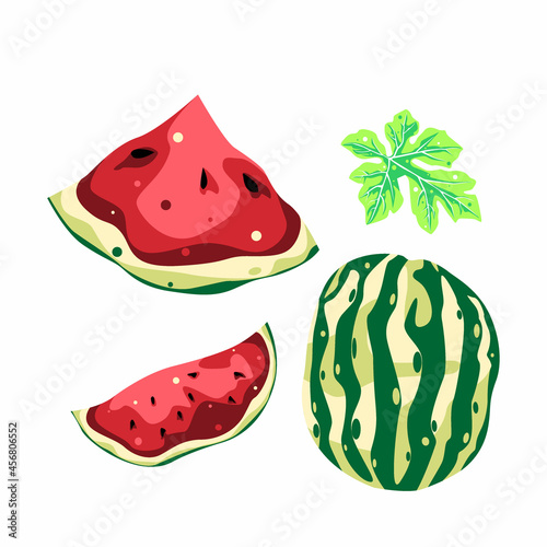 watermelon flower and leaf collection fruit vector design