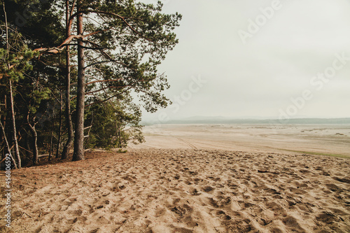 Bledow desert (pustynia bledowska) biggest sand desert in Silesia region in Poland photo