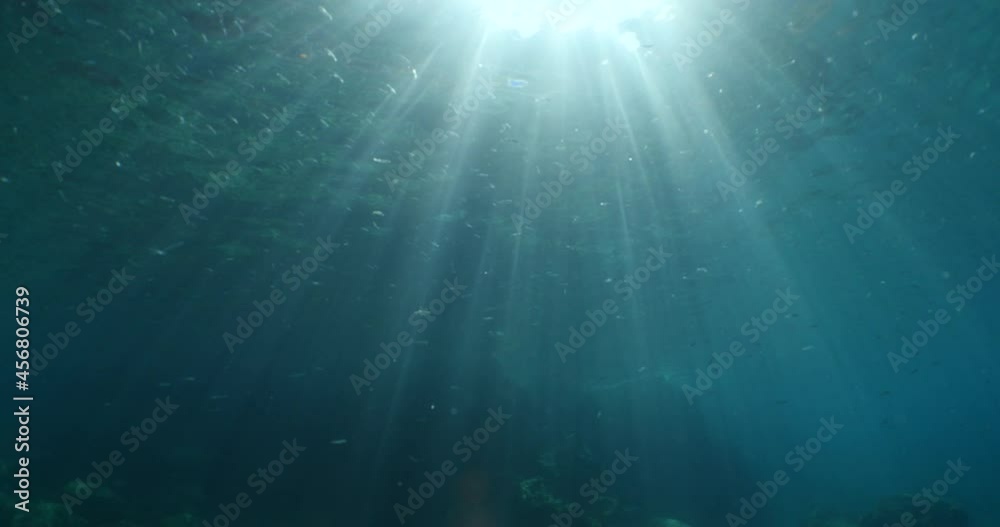 sun ray and sun beam scenery underwater waves on surface of water slow ocean scenery sun ray and sun beam scenery underwater waves on surface of water slow ocean scenery