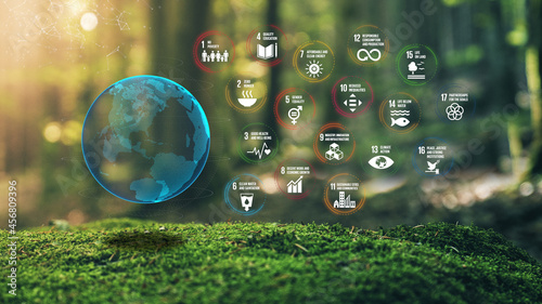 17 Global Goals Concept Earth Plexus Design in Moss Forrest Background SDGs