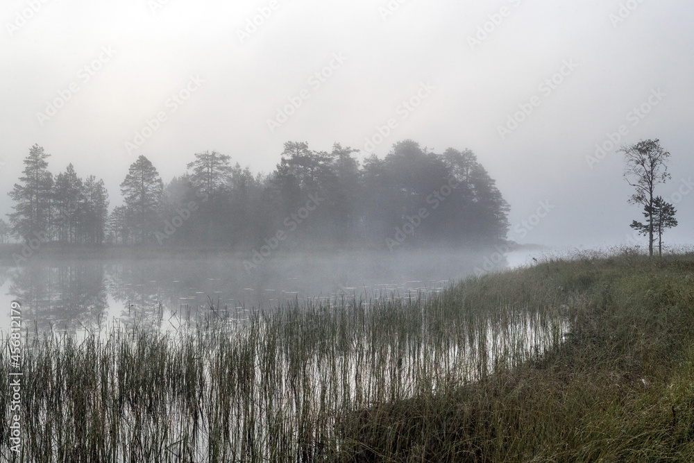 Fog over the lake. Fog over the forest. Fog over the swamp. Sunset. Dawn. Northern nature. Summer and autumn nature. Beautiful landscape.