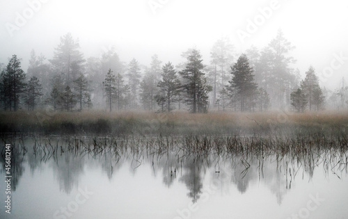 Fog over the lake. Fog over the forest. Fog over the swamp. Sunset. Dawn. Northern nature. Summer and autumn nature. Beautiful landscape. © kareliatim