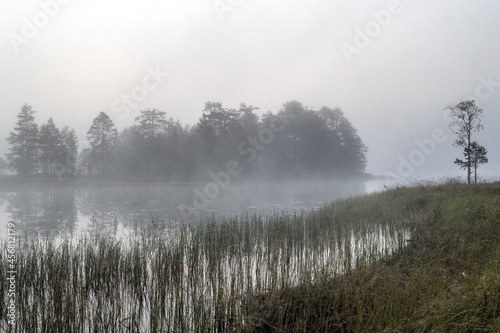 Fog over the lake. Fog over the forest. Fog over the swamp. Sunset. Dawn. Northern nature. Summer and autumn nature. Beautiful landscape.