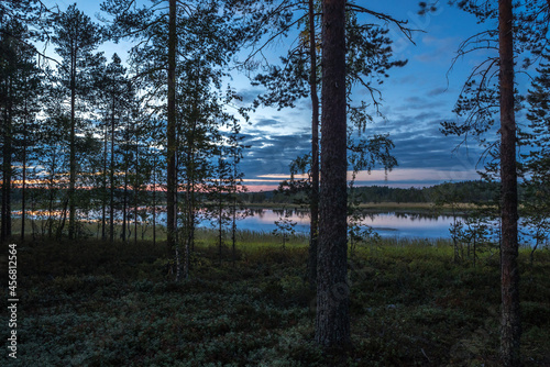 Evening over the lake. Dark blue sky. Night  forest  lake.