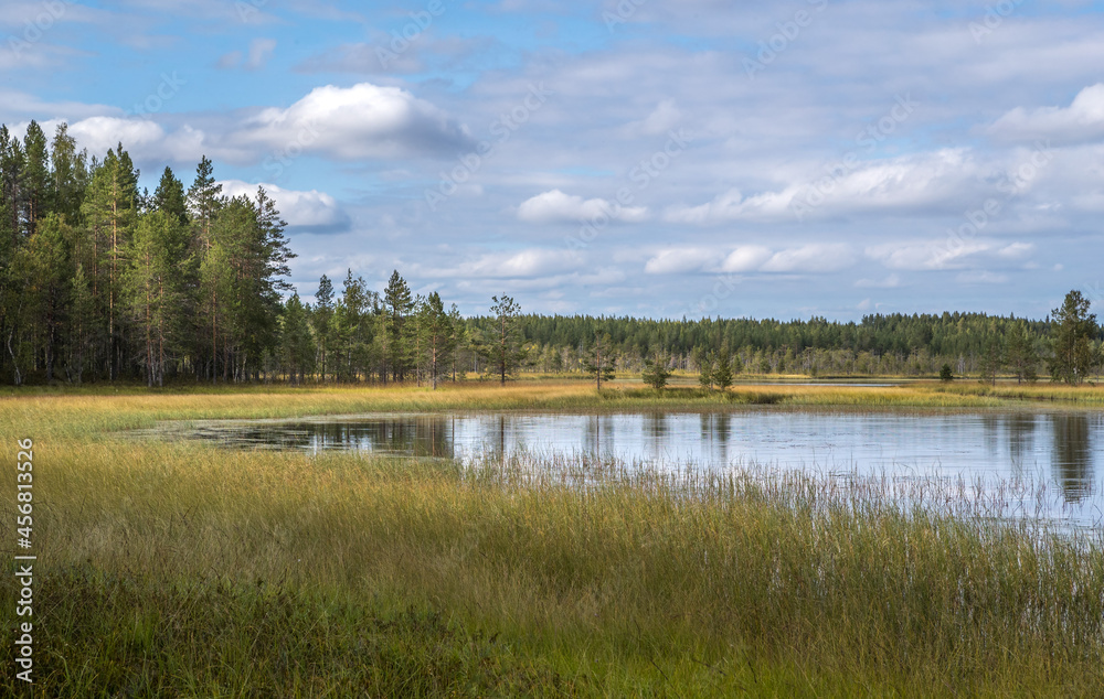 Northern nature. Panorama of the forest. Lake, forest, river. Beautiful landscape with lake and forest. Sunset and sunrise. Reflection of the forest in the water.