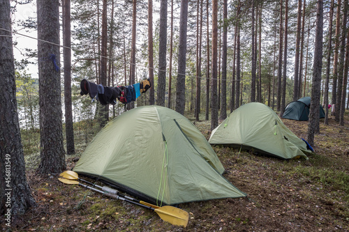 Tents in the forest. Hike in nature. Trekking in the forest. Leisure. Wildlife travel.