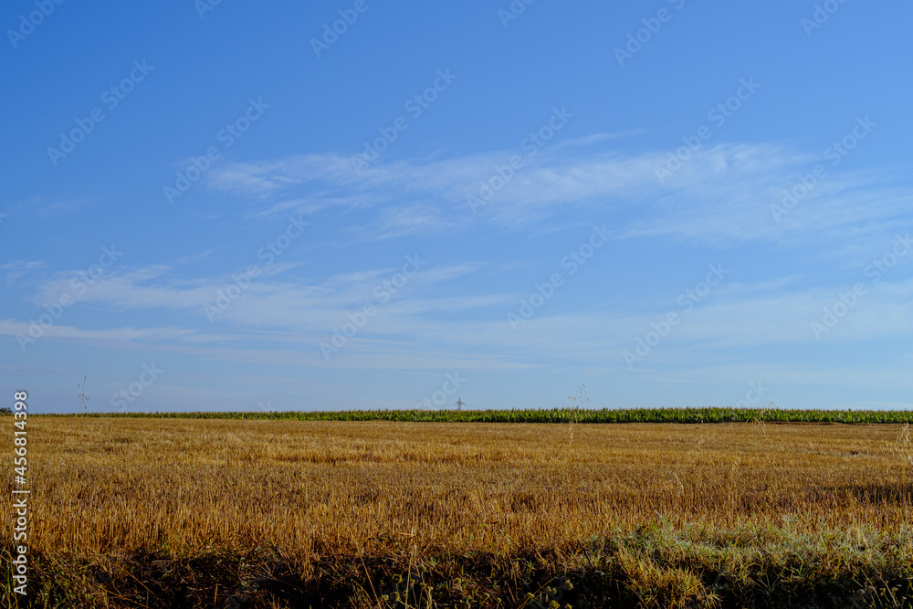 Fototapeta premium Plain harvested agricultural field on a blue sunny summer day