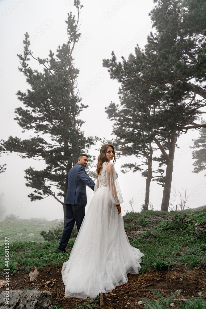 bride and groom hold hands and go in a mysterious misty mountain forest. trust bride and groom hold hands and go in a mysterious misty mountain forest. trust