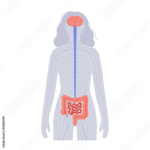 Gut brain connection