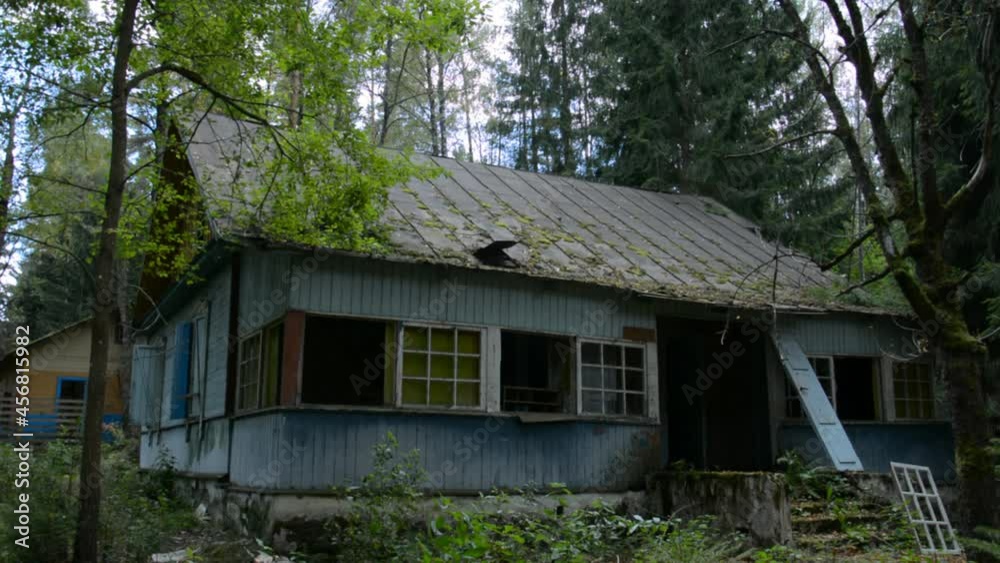 Abandoned wooden house in the forest, the concept of extinction of humanity from the virus Abandoned wooden house in the forest, the concept of extinction of humanity from the virus