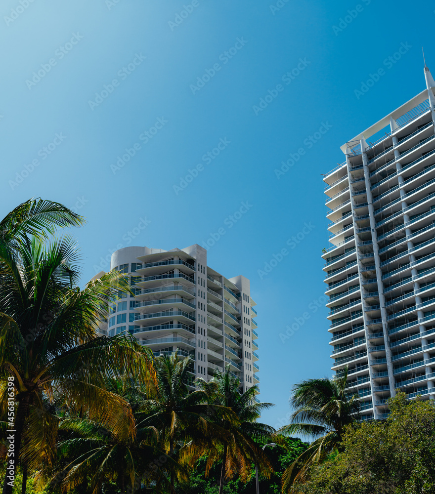 palm trees marina buildings coconut grove city Miami Florida sky blue 
